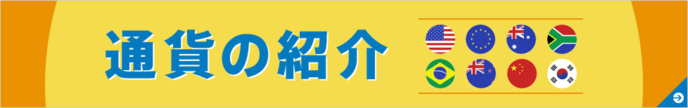 通貨の紹介