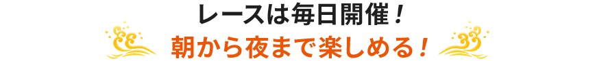 レースは毎日開催！朝から夜まで楽しめる！