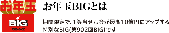 お年玉BIGとは