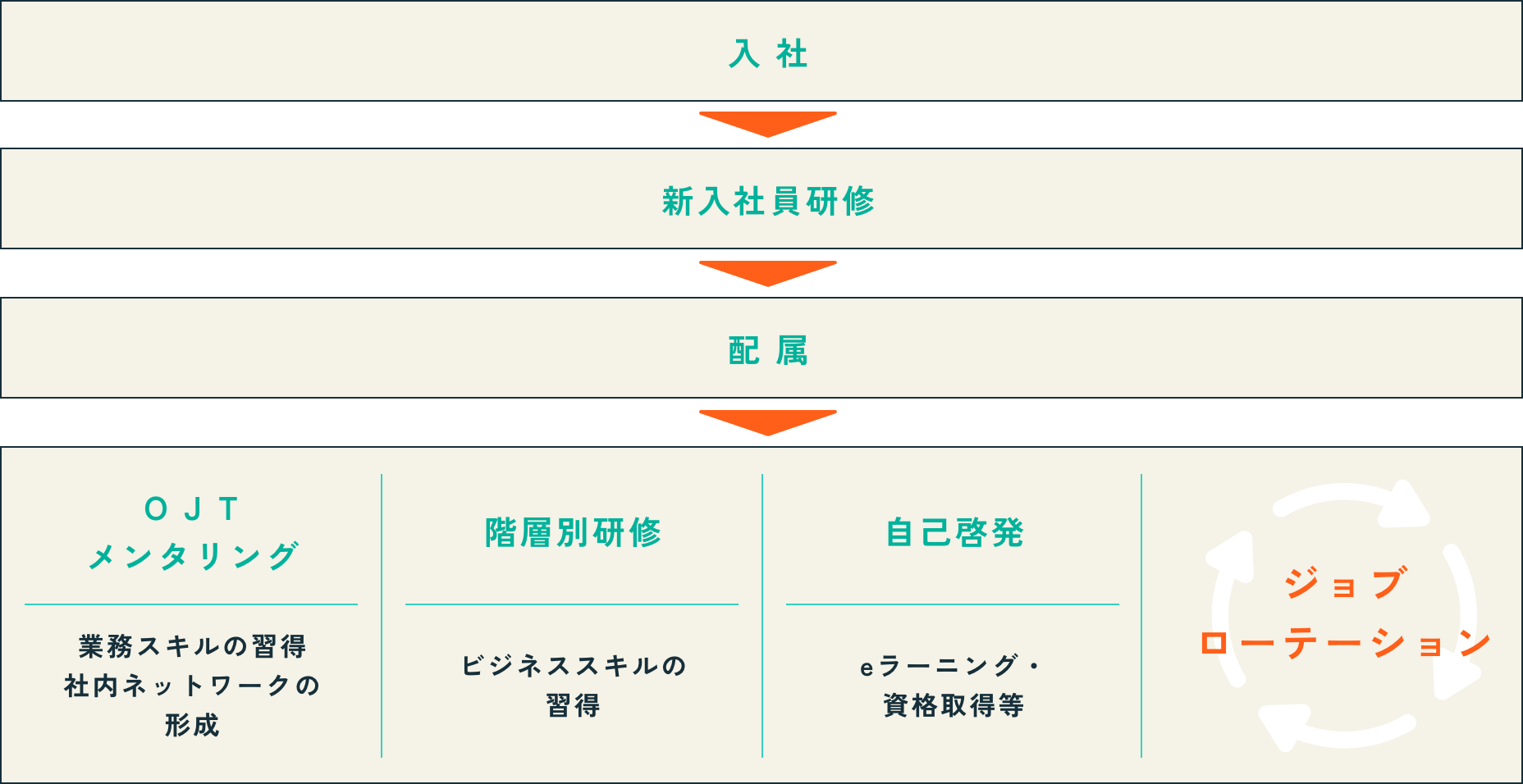 入社後の研修・成長・キャリア形成の全体像